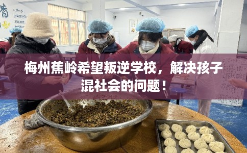 梅州蕉岭希望叛逆学校，解决孩子混社会的问题！