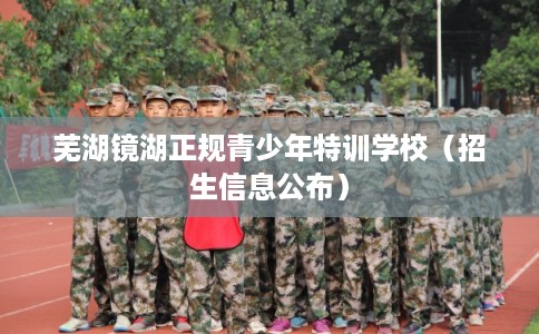 芜湖镜湖正规青少年特训学校（招生信息公布）