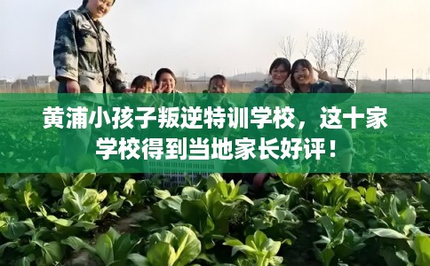 黄浦小孩子叛逆特训学校，这十家学校得到当地家长好评！