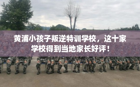 黄浦小孩子叛逆特训学校，这十家学校得到当地家长好评！