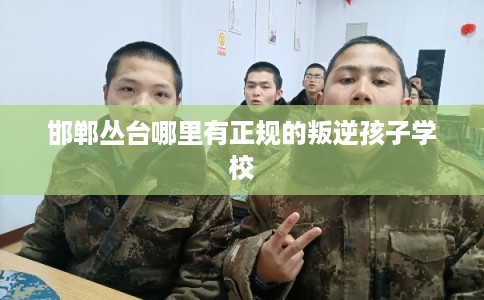 邯郸丛台哪里有正规的叛逆孩子学校
