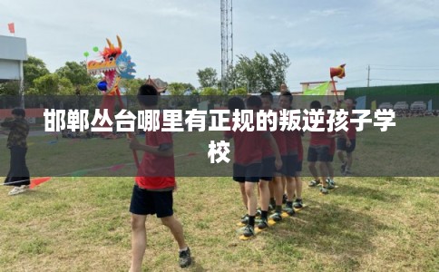 邯郸丛台哪里有正规的叛逆孩子学校