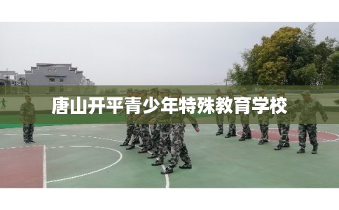 唐山开平青少年特殊教育学校