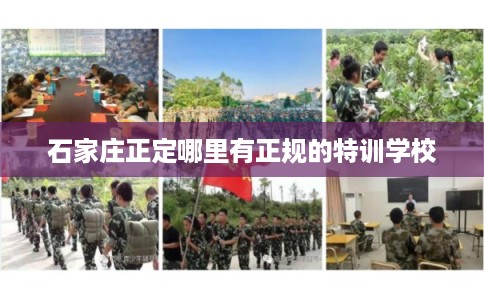 石家庄正定哪里有正规的特训学校