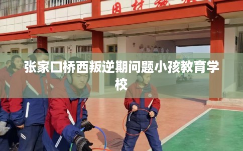 张家口桥西叛逆期问题小孩教育学校