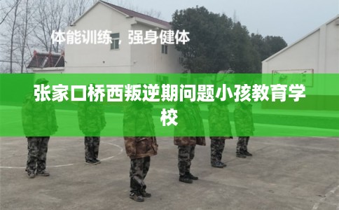 张家口桥西叛逆期问题小孩教育学校