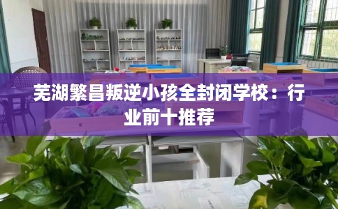 芜湖繁昌叛逆小孩全封闭学校：行业前十推荐