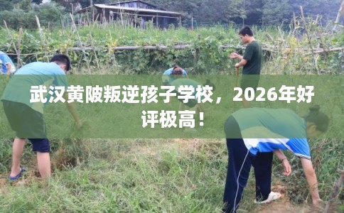 武汉黄陂叛逆孩子学校，2026年好评极高！