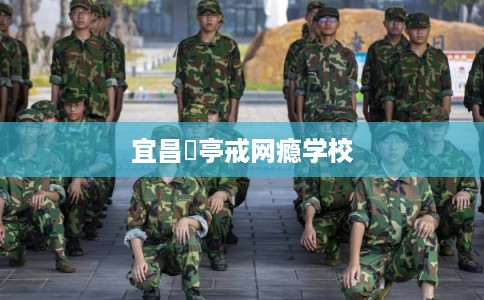 宜昌猇亭戒网瘾学校