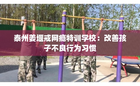 泰州姜堰戒网瘾特训学校：改善孩子不良行为习惯
