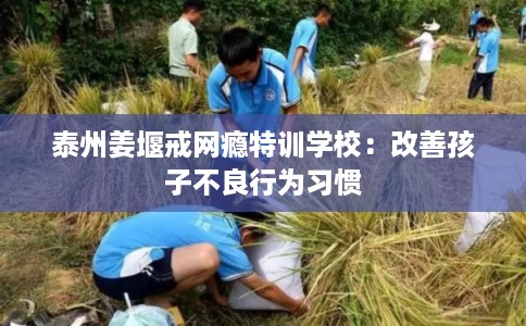 泰州姜堰戒网瘾特训学校：改善孩子不良行为习惯