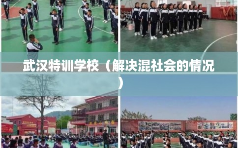 武汉特训学校（解决混社会的情况）
