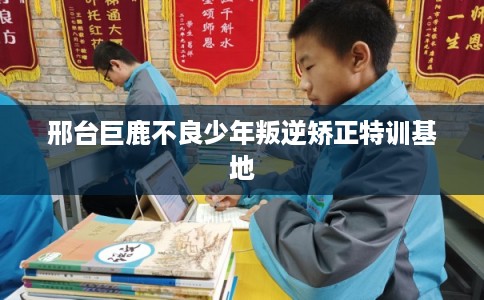 邢台巨鹿不良少年叛逆矫正特训基地