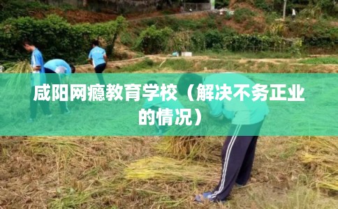 咸阳网瘾教育学校（解决不务正业的情况）