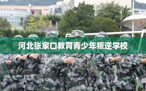 河北张家口教育青少年叛逆学校