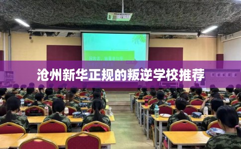 沧州新华正规的叛逆学校推荐