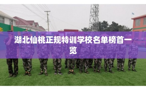 湖北仙桃正规特训学校名单榜首一览