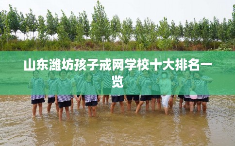 山东潍坊孩子戒网学校十大排名一览