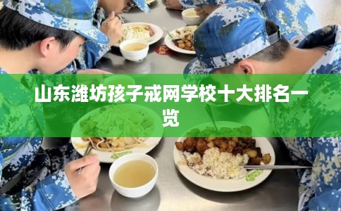 山东潍坊孩子戒网学校十大排名一览
