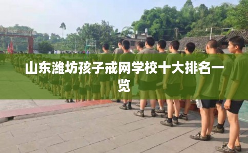 山东潍坊孩子戒网学校十大排名一览
