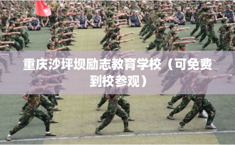 重庆沙坪坝励志教育学校（可免费到校参观）