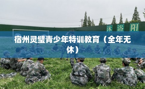 宿州灵璧青少年特训教育（全年无休）