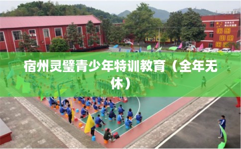 宿州灵璧青少年特训教育（全年无休）
