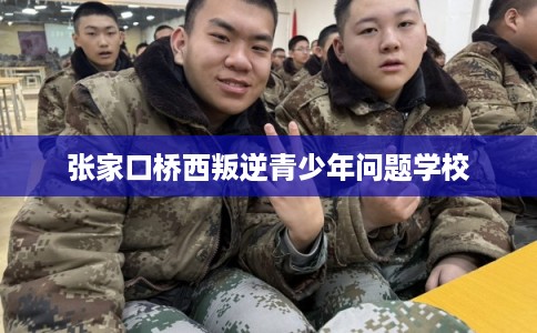 张家口桥西叛逆青少年问题学校