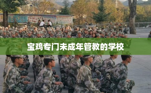 宝鸡专门未成年管教的学校