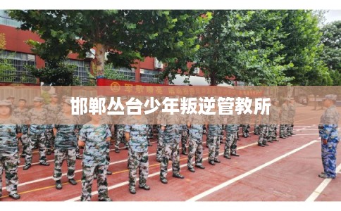 邯郸丛台少年叛逆管教所