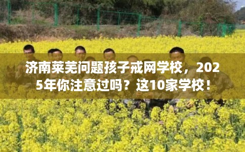 济南莱芜问题孩子戒网学校,2025年你注意过吗?这10家学校! 济南莱芜问题孩子戒网学校,2025年你注意过吗?这10家学校!