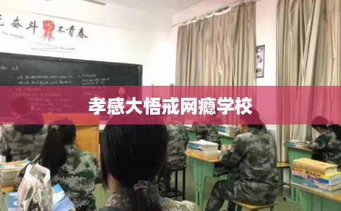孝感大悟戒网瘾学校