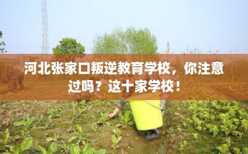 河北张家口叛逆教育学校，你注意过吗？这十家学校！
