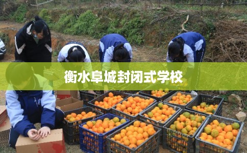 衡水阜城封闭式学校