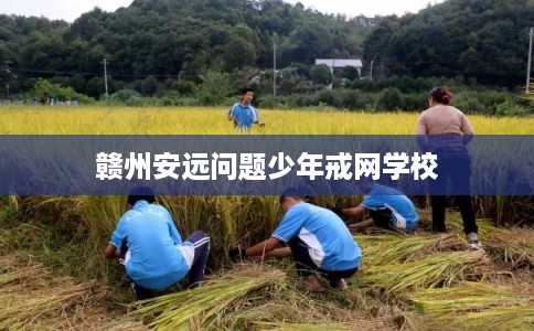 赣州安远问题少年戒网学校