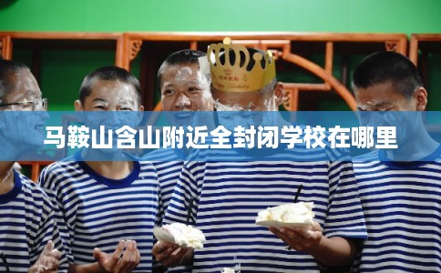 马鞍山含山附近全封闭学校在哪里