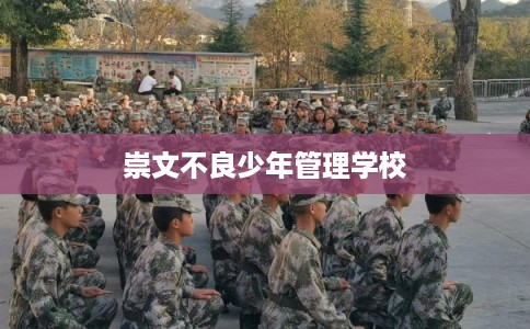 崇文不良少年管理学校