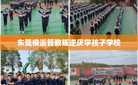 东莞横沥管教叛逆厌学孩子学校