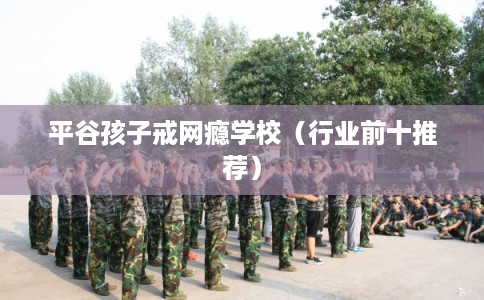 平谷孩子戒网瘾学校（行业前十推荐）