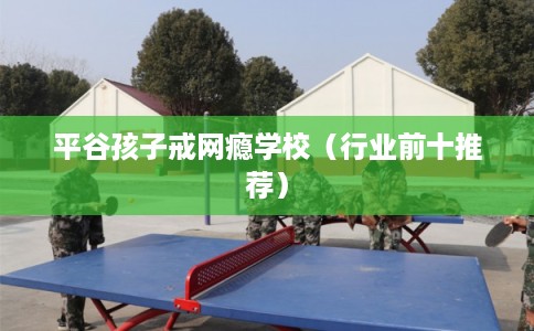 平谷孩子戒网瘾学校（行业前十推荐）