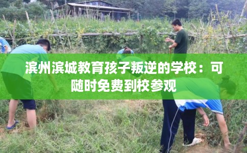 滨州滨城教育孩子叛逆的学校：可随时免费到校参观