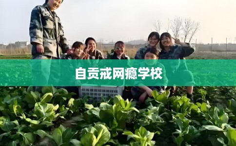 自贡戒网瘾学校