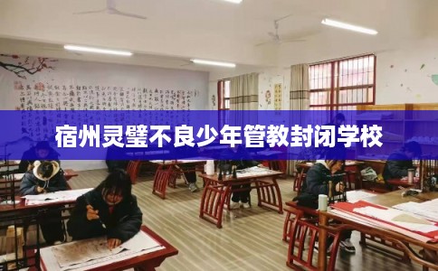 宿州灵璧不良少年管教封闭学校