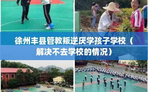 徐州丰县管教叛逆厌学孩子学校（解决不去学校的情况）