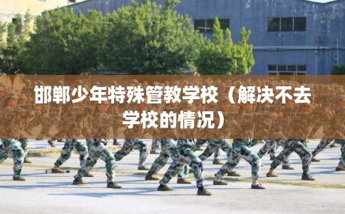 邯郸少年特殊管教学校（解决不去学校的情况）