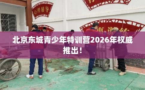 北京东城青少年特训营2026年权威推出！