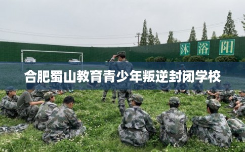 合肥蜀山教育青少年叛逆封闭学校