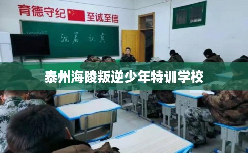 泰州海陵叛逆少年特训学校
