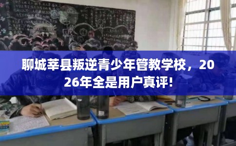 聊城莘县叛逆青少年管教学校，2026年全是用户真评!