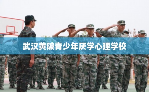 武汉黄陂青少年厌学心理学校